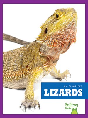 cover image of Lizards